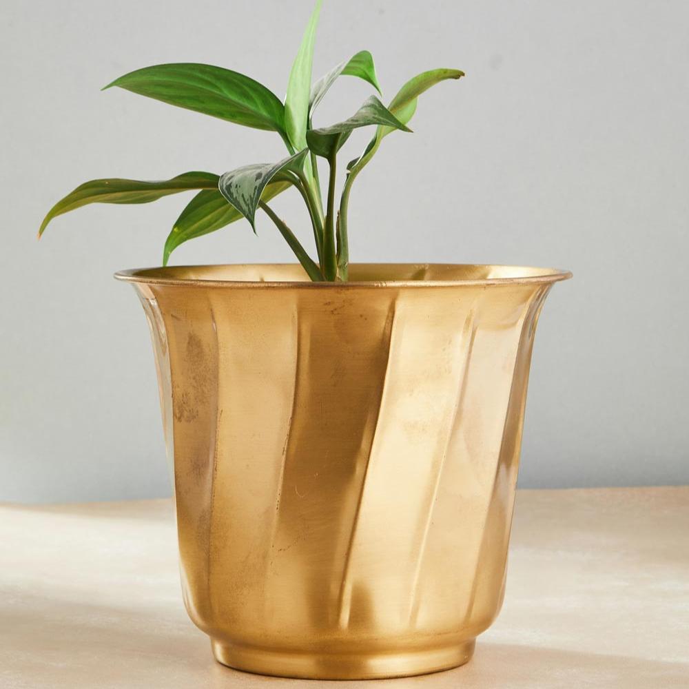 Brass Mandar Shaped Table Planter - 7inch