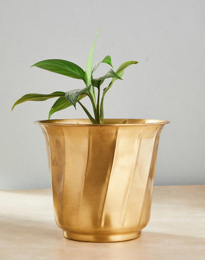 Brass Mandar Shaped Table Planter - 7inch